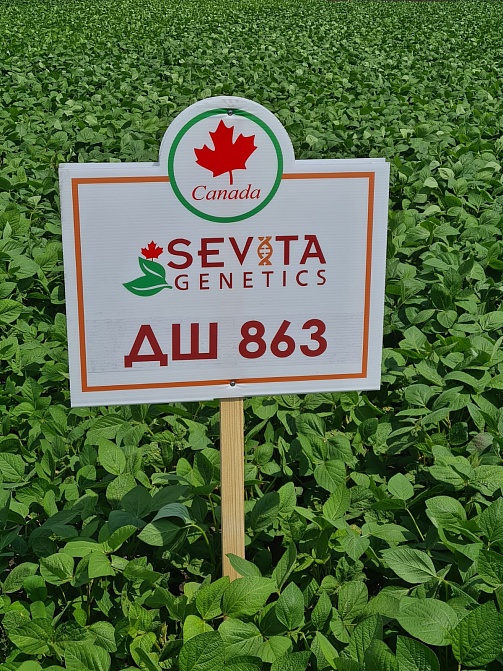 ФЭС-Агро в Полевом городе Syngenta