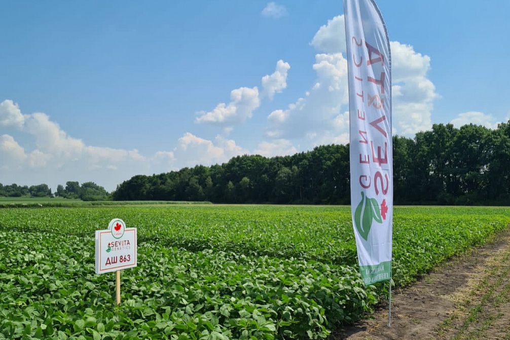 ФЭС-Агро в Полевом городе Syngenta