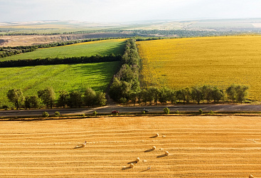 Компания ФЭС-Агро подводит итоги первого полугодия 2025 года. Охват обрабатываемых площадей увеличен на 17%